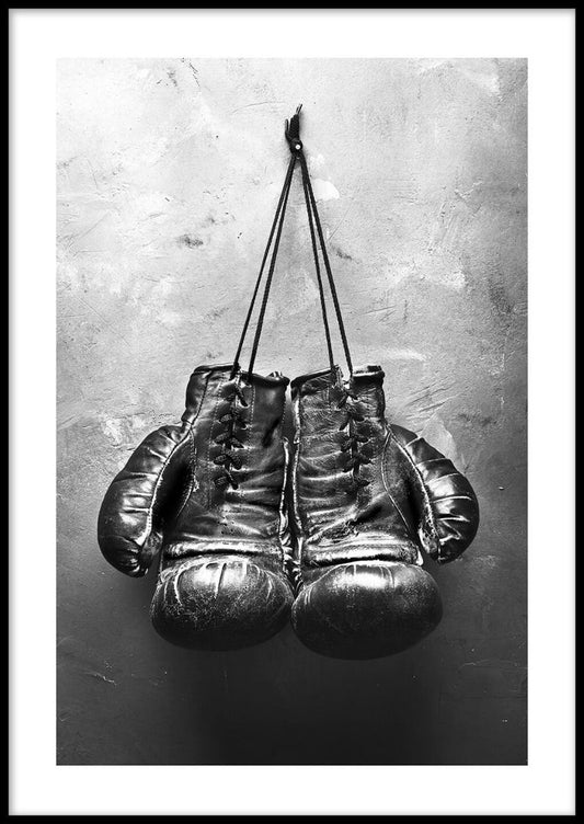 Boxhandschuhe Poster