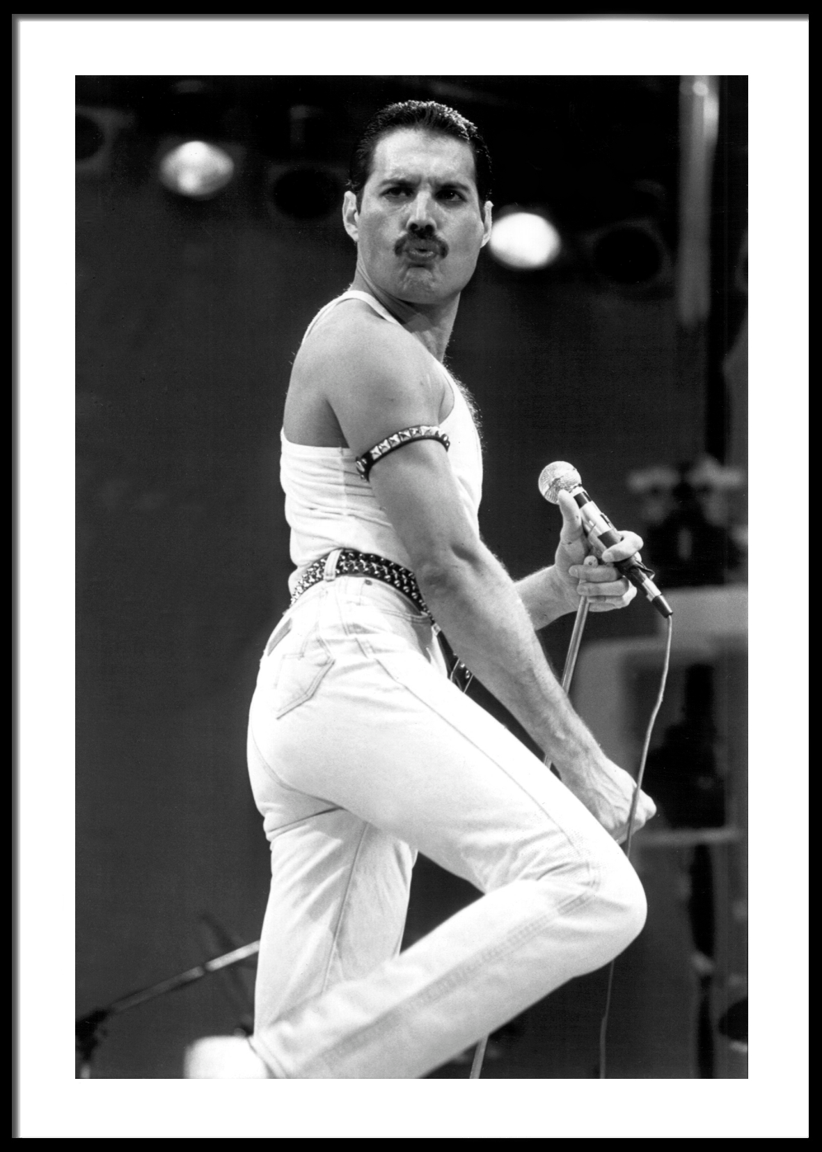 Freddie Mercury Nr. 5