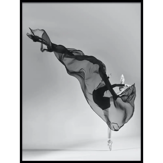 Ballet Dancer Poster