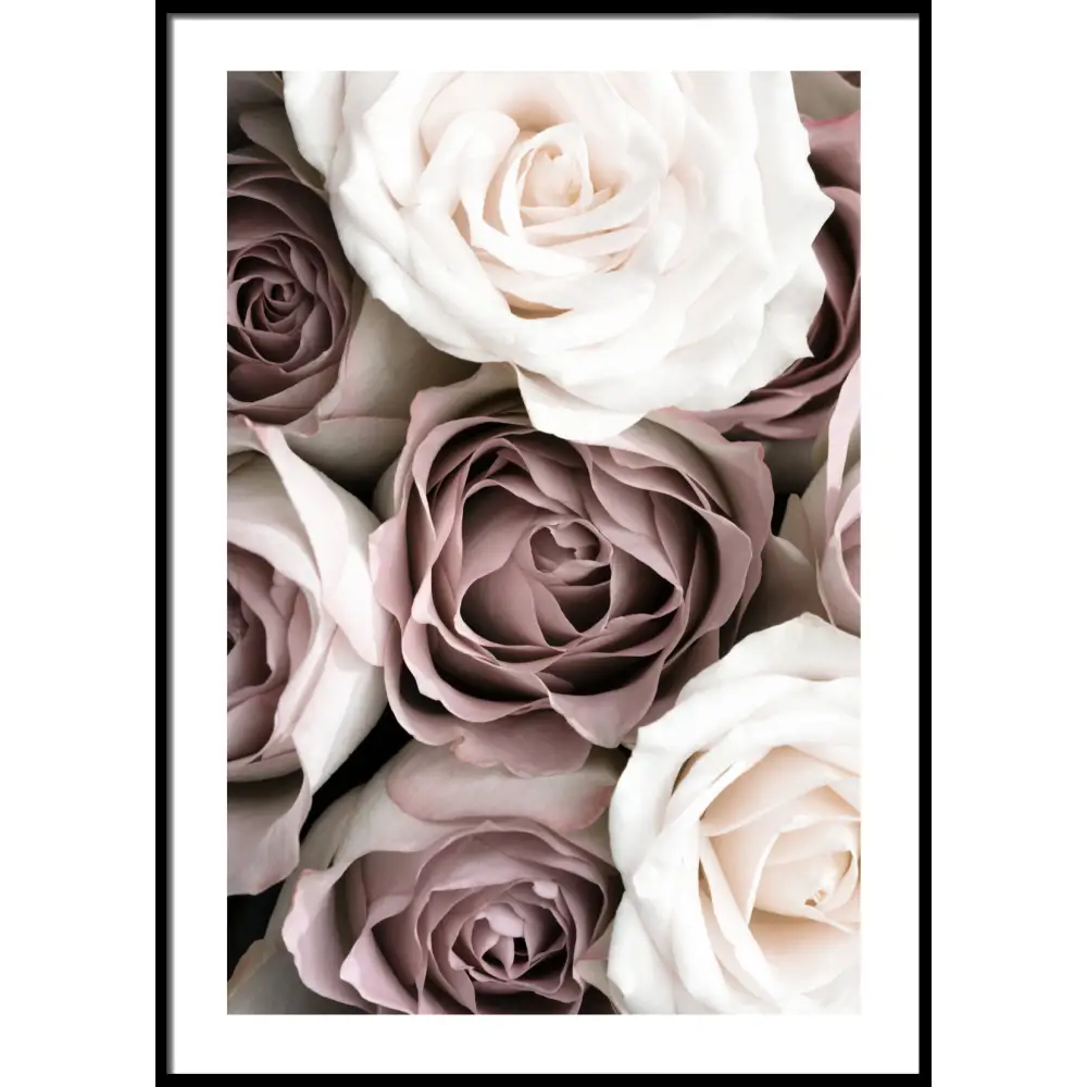 Pink December Poster