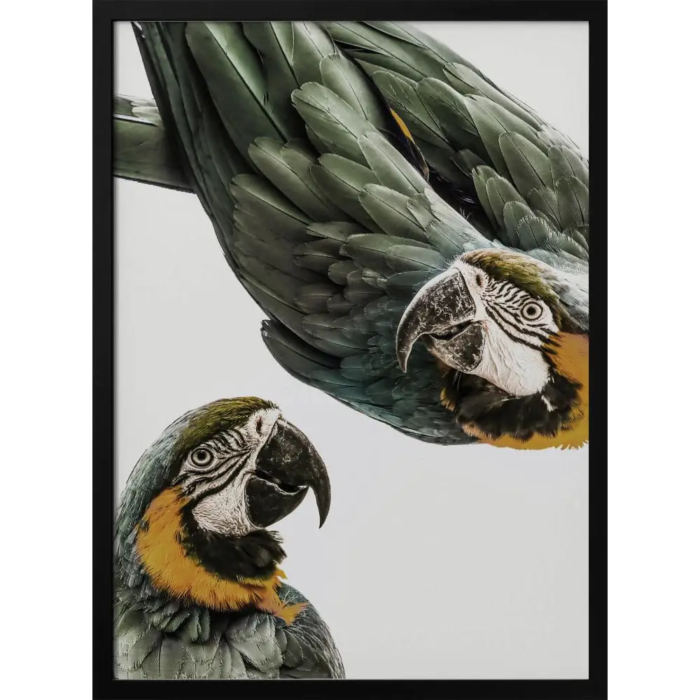 The Green Wing Poster