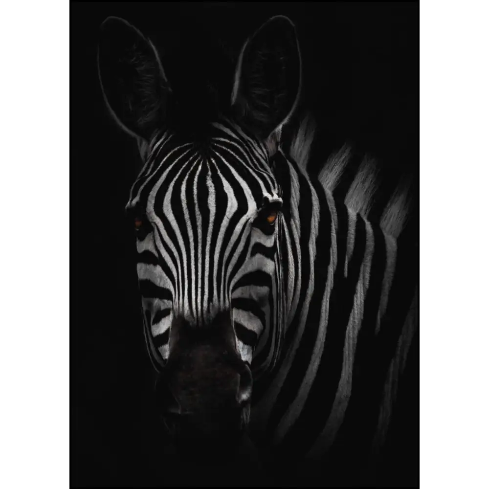 The Zebra Poster